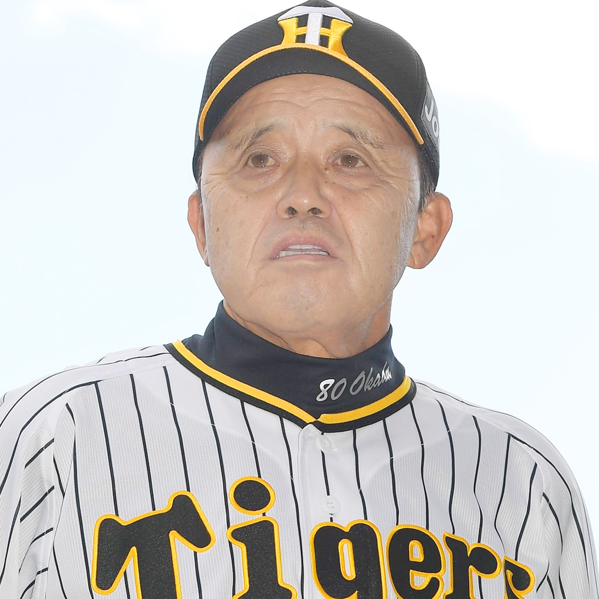 素晴らしい 阪神タイガース そらそうよタオル 岡田監督 - 野球