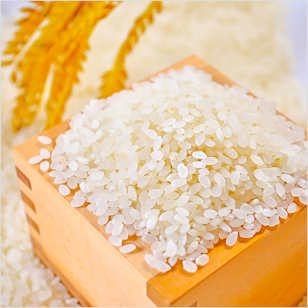 新米の季節 正しいお米の保存法と新米の炊き方 アサジョ