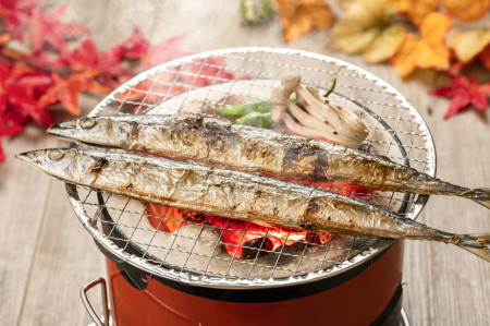 秋の味覚の秋刀魚画像