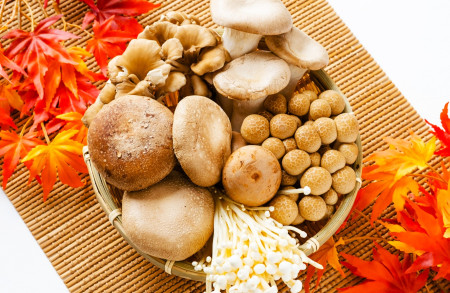 ビタミンB群が豊富な秋の味覚きのこ類