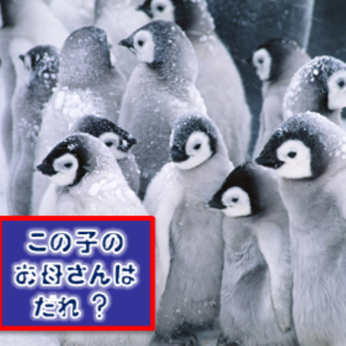 オリジナル