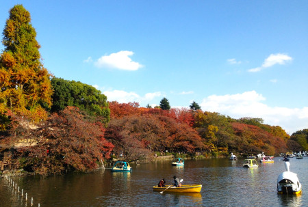井之頭恩賜公園