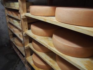 北海道チーズ「幸」に隠された情熱とは？ ｜チーズ工房見聞録