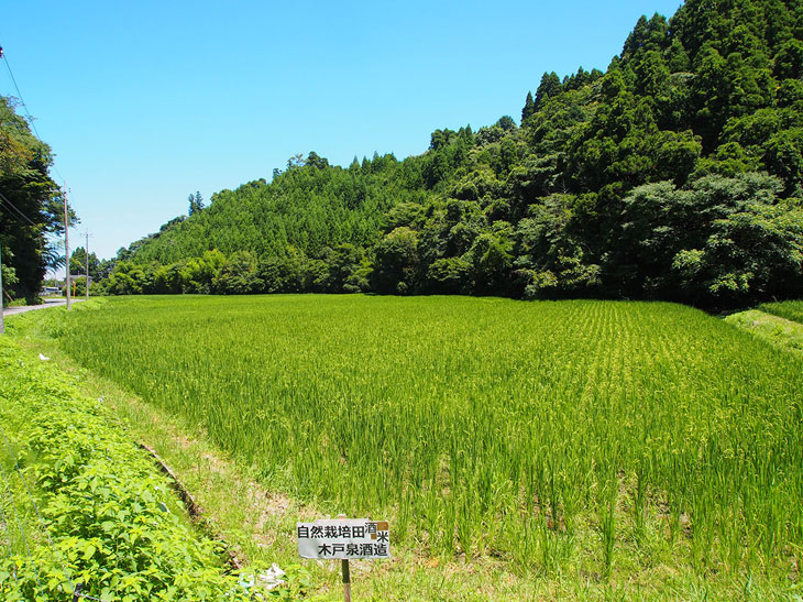 原料米に、自社栽培の自然農法産米（無農薬・無化学肥料）を使う取り組みにも飲む人や環境への思いやりが感じられる。（※一部商品に使用）