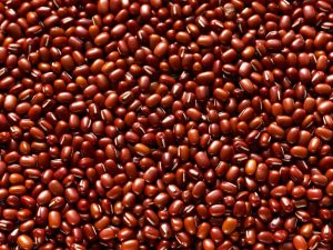 上品な甘さと紅い粒が特徴の「雅」は、ぜんざいやあんこ作りに向く小豆として知られる