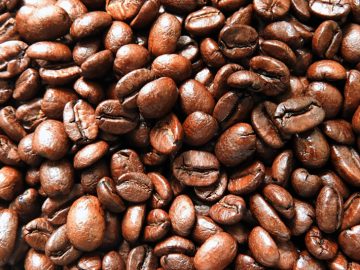 おいしいコーヒーの原点は「おいしい豆」。その選び方とは？｜コーヒープレス古今東西