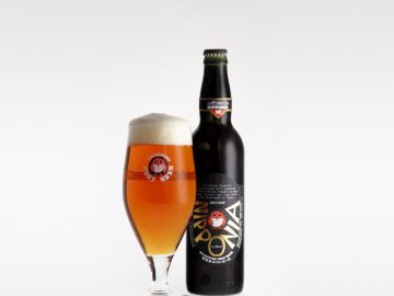 200種類以上が集結！ 明日からの国内最大級のビールイベント「大江戸ビール祭り」のおすすめビールは？