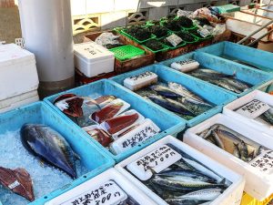 新鮮なお魚が「勝浦朝市」で購入できます