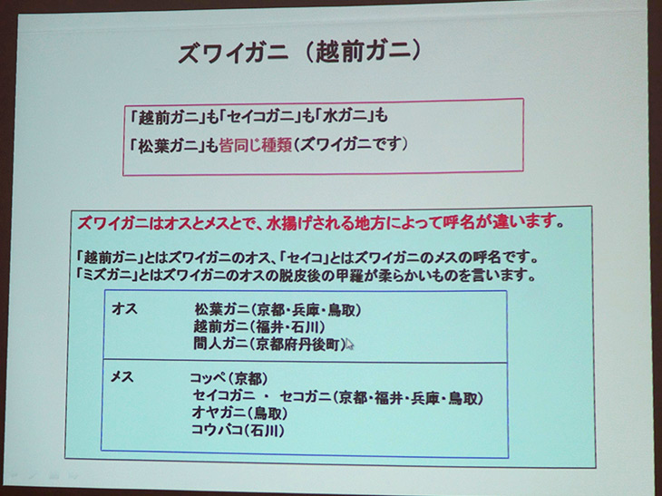 1種類のカニに多数の呼び名があるとは驚き。ちなみに、脱皮したばかりの甲羅が柔らかいズワイガニのオスは、「水ガニ(ズボガニ)」と呼ぶ