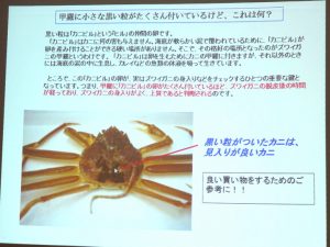 甲羅の色つやに深みがあり、光沢が良いものは質の良いカニの証