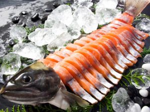 ビワマスを刺し身で食べるには鮮度が命。サケ科の淡水魚なので、一見するとサーモンのように見える