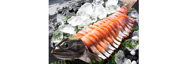 ビワマスを刺し身で食べるには鮮度が命。サケ科の淡水魚なので、一見するとサーモンのように見える