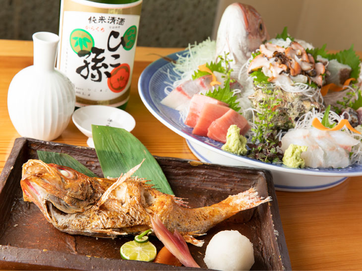美味しい日本酒に旬の魚。何度も通って常連になりたくなるほどの美味しさ