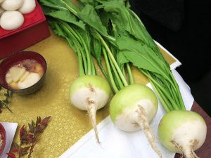 福井青かぶは12月に一度だけ出荷する貴重な野菜だそう。千枚漬けにも使われる