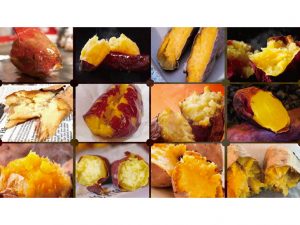 最も美味しい焼き芋って！？ 「さつまいも博2020」（埼玉）で焼き芋グランプリが決定！