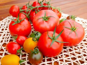 多彩な種類のトマトを栽培