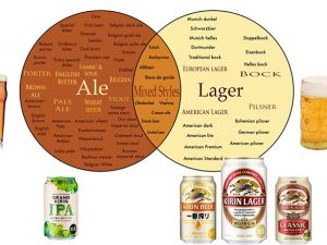 ビールは発酵のタイプにより、上面発酵タイプの「エール」と下面発酵タイプの「ラガー」に大別される
