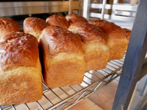 鎌倉に行ったら絶対買い！ 行列の生食パン店『Bread Code』の20斤限定「星の井食パン」が美味しすぎる理由