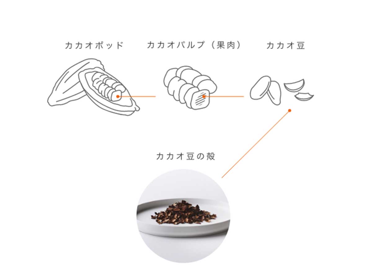 一般的にチョコレートの原料となるのは、カカオポッドの中にあるカカオ豆の胚乳の部分