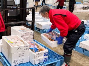 新潟漁協の場合。仕入れた地魚はすぐに荷造りされ、その日の午前中には関東圏の『角上魚類』各店に納品します