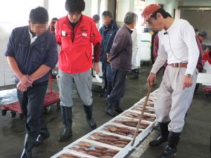 出雲崎港の場合。仕分けされた様々な地魚を『角上魚類』のバイヤーが競り落とし、やはりその日のうちに関東圏の角上魚類各店に納品します