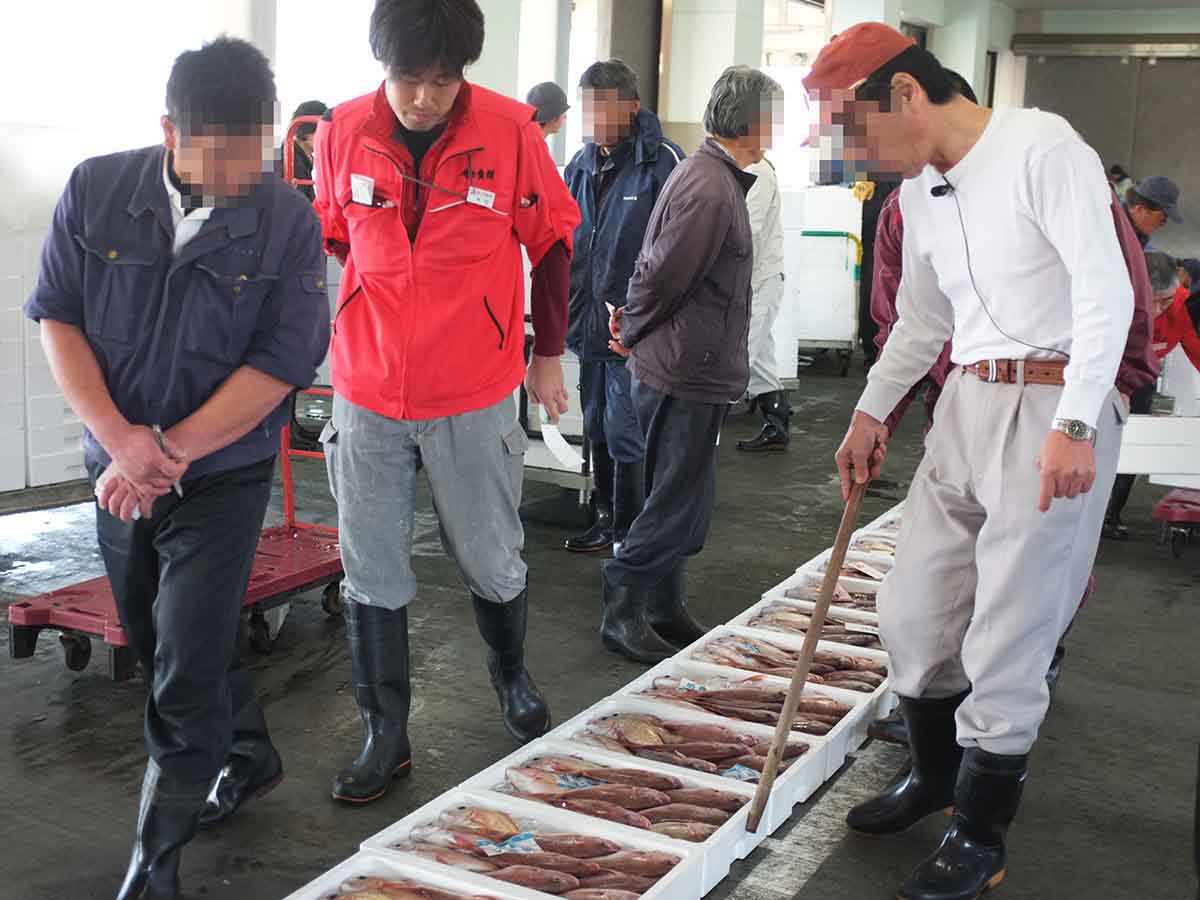 出雲崎港の場合。仕分けされた様々な地魚を『角上魚類』のバイヤーが競り落とし、翌日午前中に関東圏の角上魚類各店に納品します