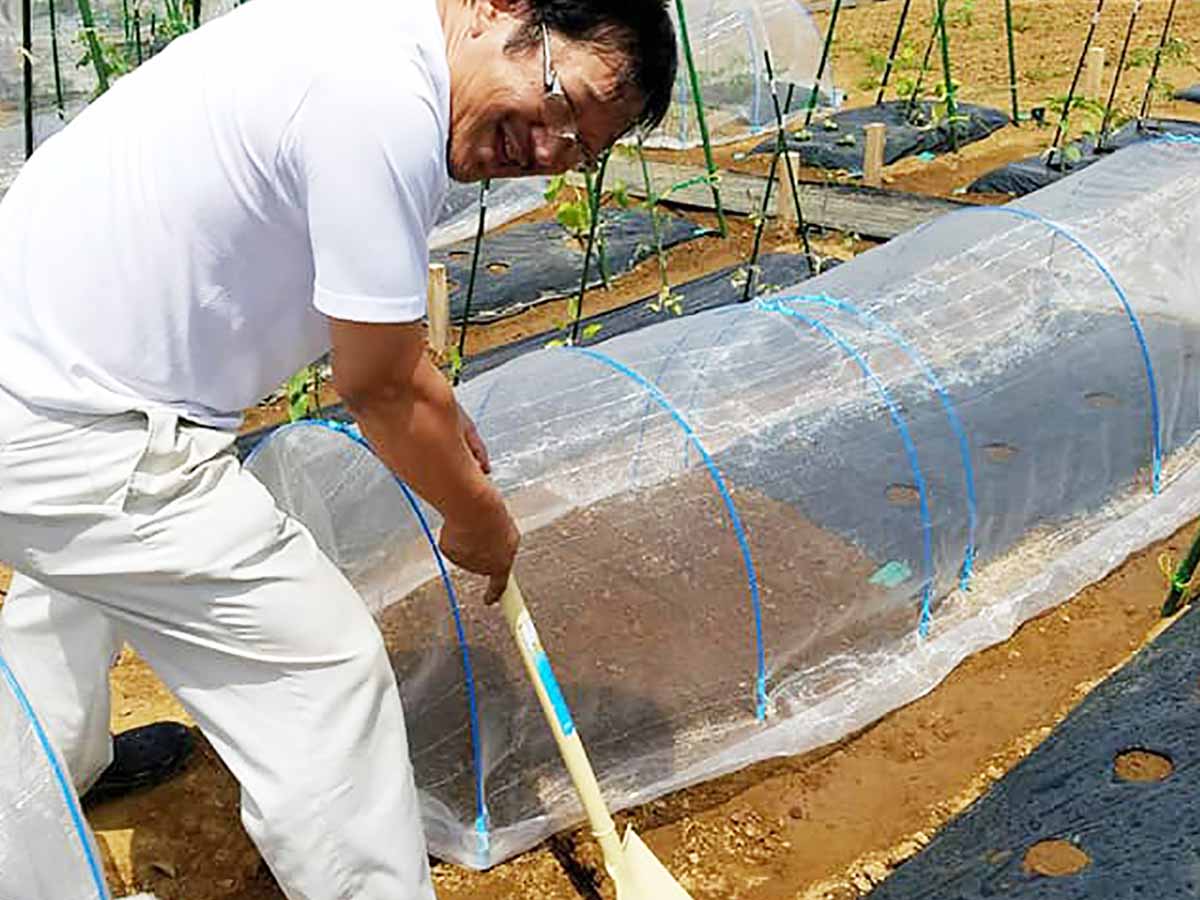 素材には徹底したこだわりを持つ須堯シェフ。『トラットリアた喜ち』店内で水菜を育てるほか、畑できゅうりも栽培しているそうです