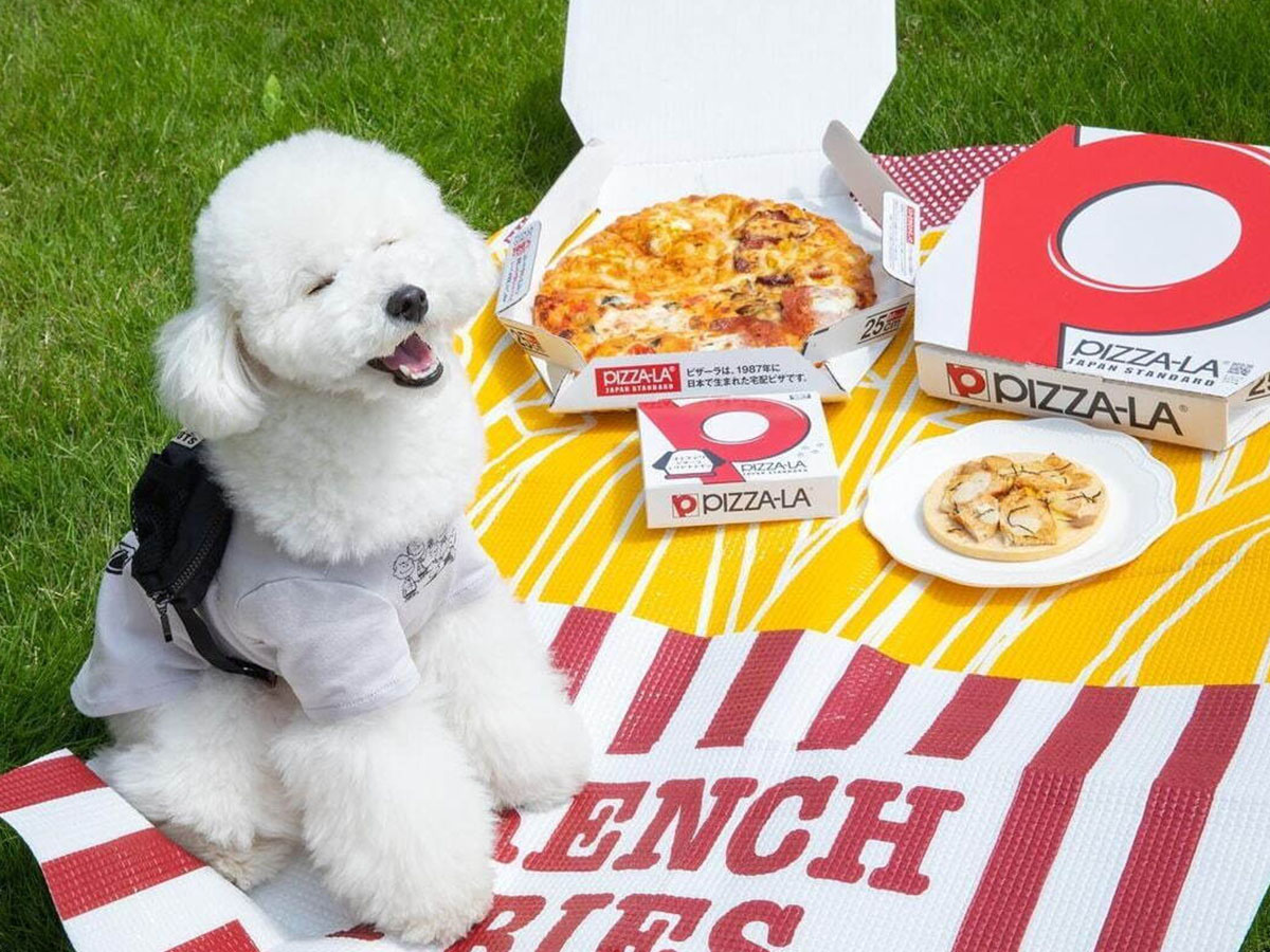 愛犬にもピザーラお届け！ 犬用冷凍ピザ「コミフデリ ピザーラテリヤキチキン」ってどんなもの？