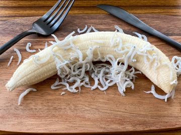 【徹底検証】しらす×バナナ、プリン×納豆…AIが導き出した食材の「美味しい組み合わせ」は本当なのか？