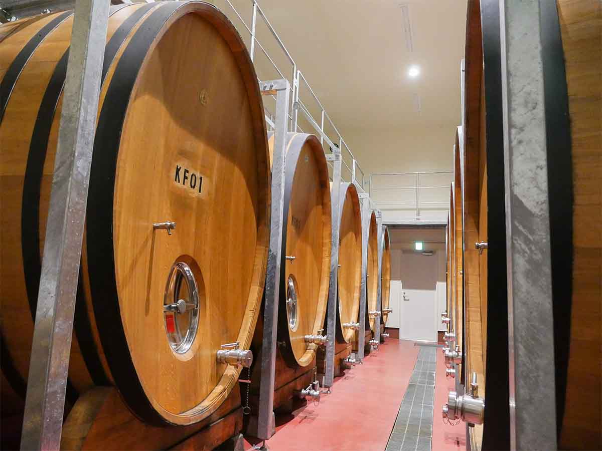 Fセラーには、ワインに豊かさと複雑さを持った味わいに育成するための大型の木樽が