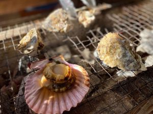 色鮮やかなヒオウギ貝は濃厚な味わいで人気