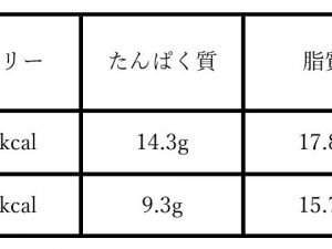 それぞれの成分表。※ハンバーガーはほとんど食物繊維が摂れないので炭水化物量＝糖質に近い