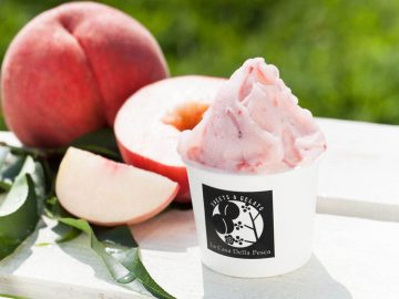 全国のアイスクリームが集結する『あいぱく』で今年食べるべき“絶品ご当地アイス”5選