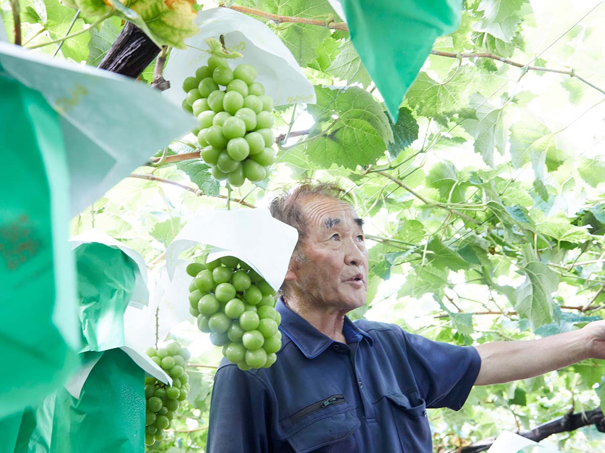 『武井フルーツ農園』代表の武井浄さんは山梨県でもいち早くシャインマスカットの栽培を始めた