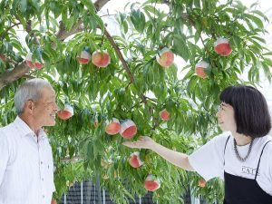 桃とシャインマスカットを栽培する中村千勝さん（左）。