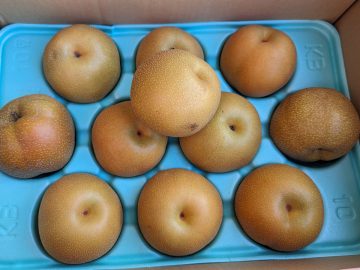 梨の旬は10月まで！ 美味しい「梨」を見分ける3つの方法＆切り方