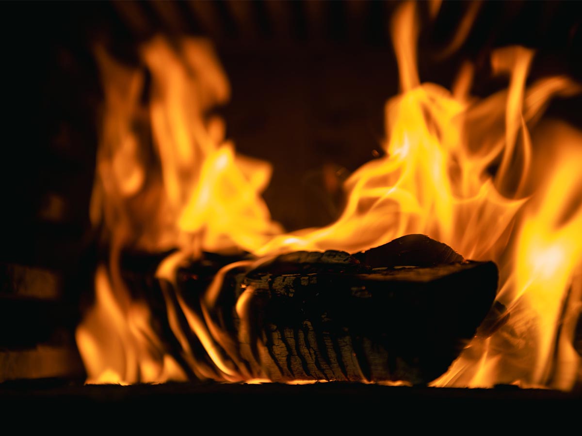 火の通りが柔らかく、燻製のような香りもまとう薪火料理。原始的だが、可能性に満ちた調理法