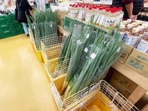 深谷市の深谷ねぎは日本屈指の生産量を誇ります