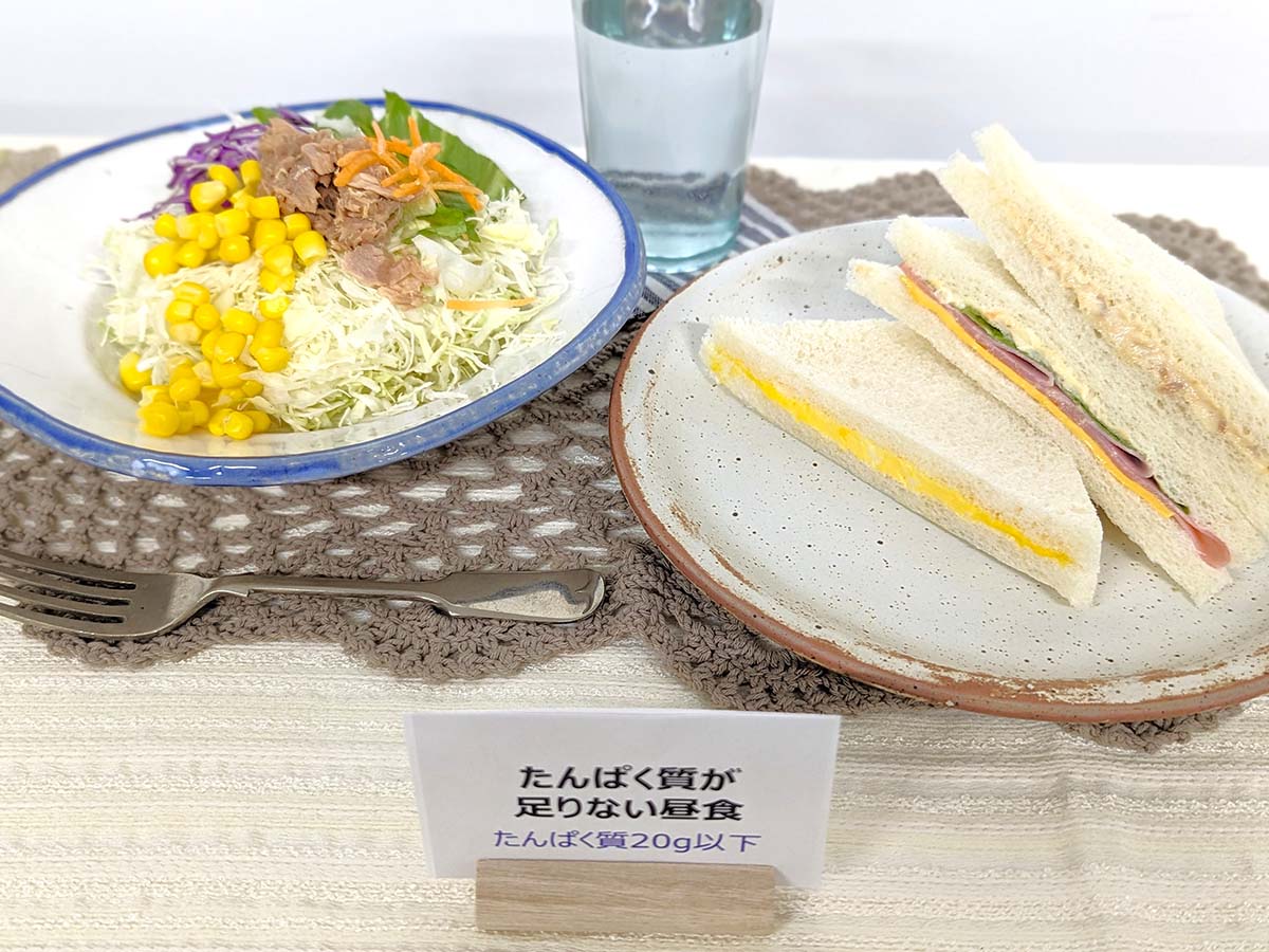 十分な量を取り続けることが重要とはいえ、たんぱく質を20g摂るのって大変!