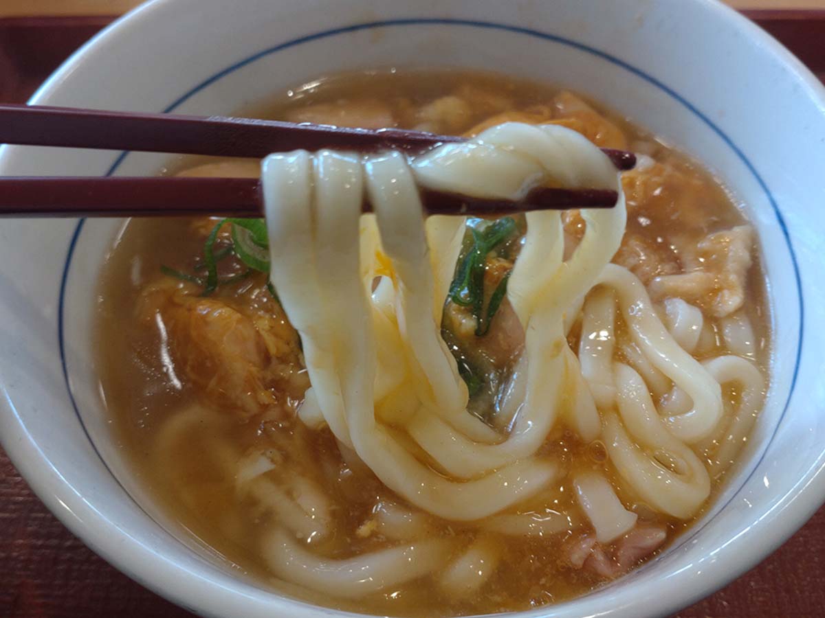 噛みやすいうどん(食楽web)