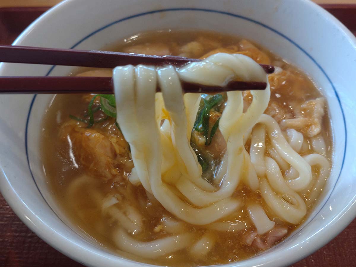 噛みやすいうどん（食楽web）