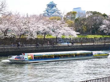 【大阪お花見プラン】水上バスで巡る「大阪城お花見クルーズ」が大人気！ たこ焼き食べ放題プランも
