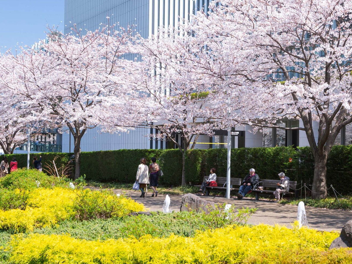 「ミッドタウン ブロッサム 2024」※2024年3月15日(金)~4月14日(日)