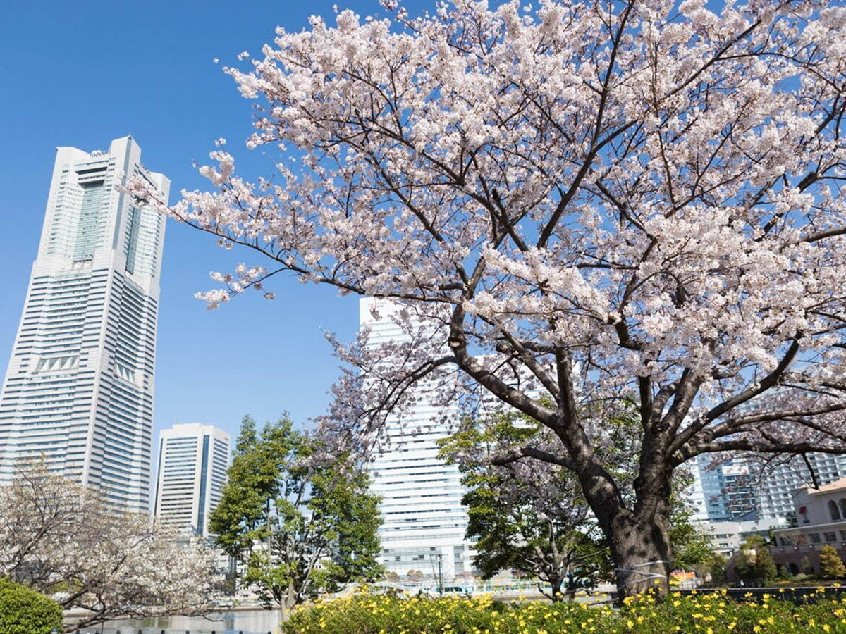 「ガーデンネックレス横浜2024」 ※2024年3月23日(土)~6月9日(日)
