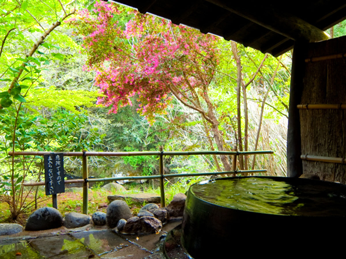 温泉×桜で最高のお花見を。日本一の温泉県・大分で楽しめる「お花見湯スポット」4選