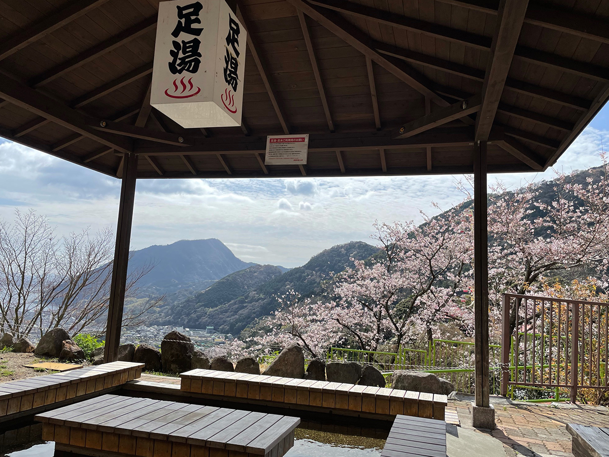 足湯に浸りながらのんびりと桜鑑賞 ［食楽web］