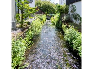 住宅地の中を流れる小川