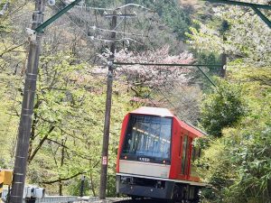 日本有数の本格的な山岳鉄道、箱根登山鉄道と小涌谷の踏切