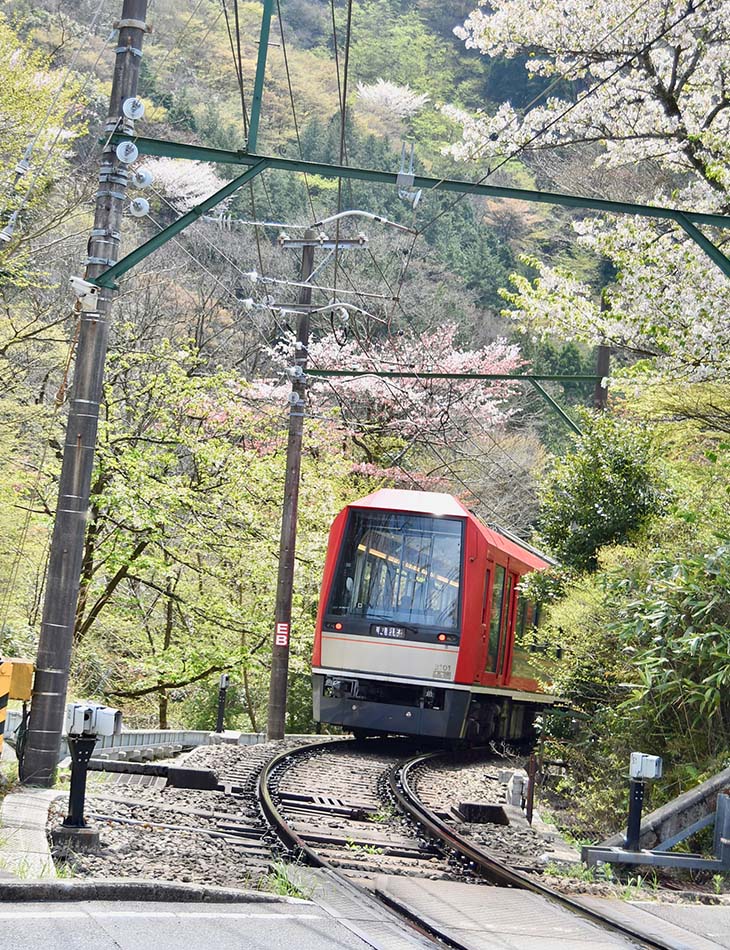 日本有数の本格的な山岳鉄道、箱根登山鉄道と小涌谷の踏切