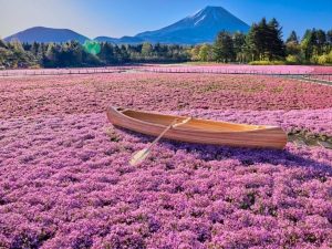 【2024年】まだまだ桜が見頃！ 5月に訪れたい関東＆関西の「絶景お花見スポット」10選